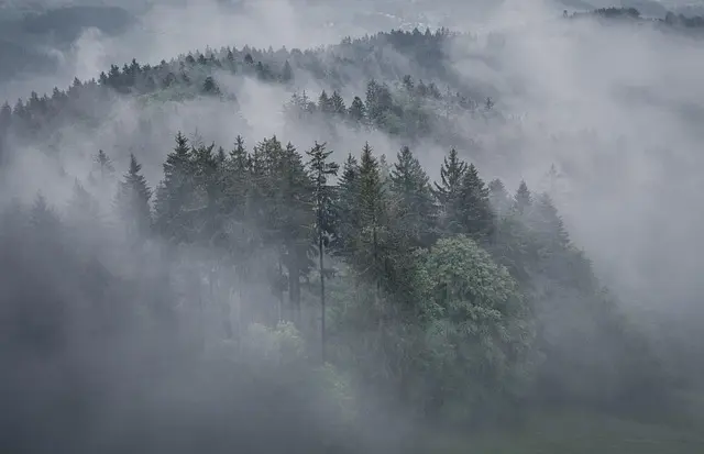 Ultimate Guide to Weather Resistant Drones