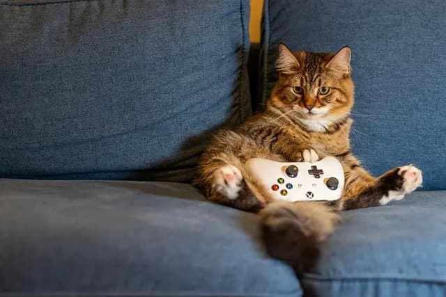 Migliori cuffie gaming per il tuo setup
