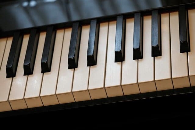 Guide d'achat : Évitez les erreurs sur les instruments scientifiques anciens