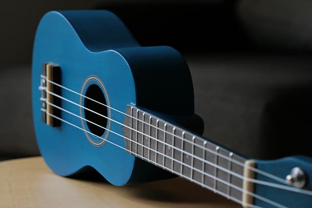 Beginner Ukulele Songs: An Essential Buying Guide