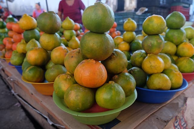 Guía de compra: Mercado de Jugadores de Baloncesto