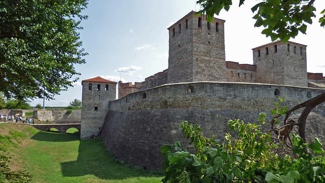 Estilos de Vida Sostenibles: Guía de Compra Completa