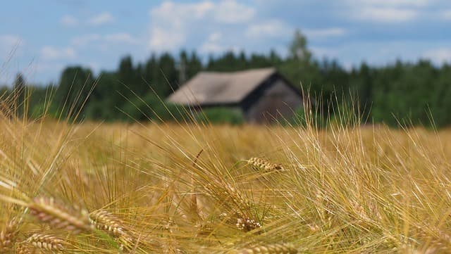 Guide complet sur l'alimentation en milieu médical