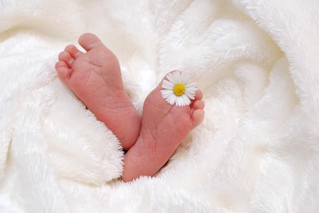 Guida all'ottimizzazione degli spazi piccoli