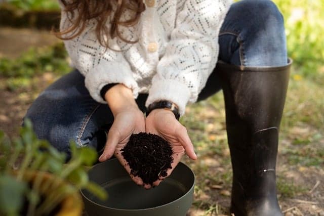 Sustainable DIY Ideas: Eco-Friendly Home Projects